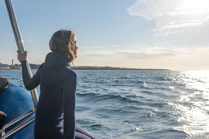 Dolphin and Seal Swim Reef Snorkel Boat Tour Mornington Peninsula - Price and Booking Information