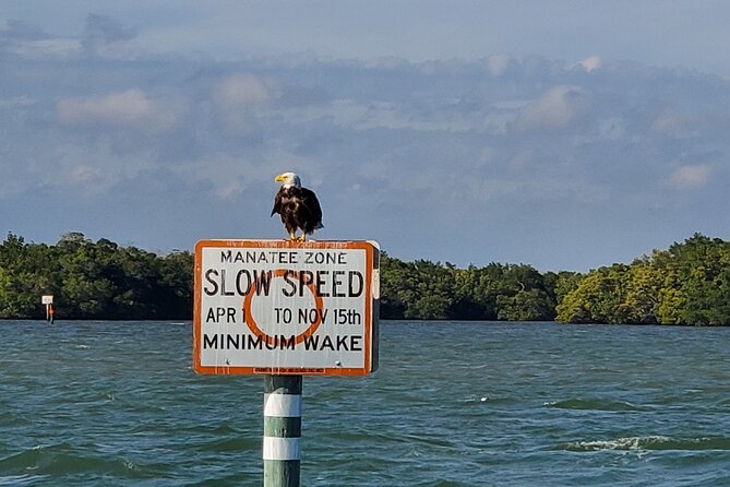 Dolphin and Sightseeing Tiki Cruise - Experience Highlights