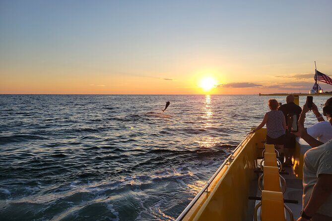 Dolphin and Sunset tour aboard the Hydro Rocket - Good To Know