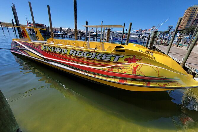 Dolphin and Sunset tour aboard the Hydro Rocket - The Sum Up