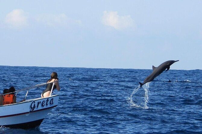 Dolphin and Whale Watching Boat Trip in Puerto Escondido - Good To Know  