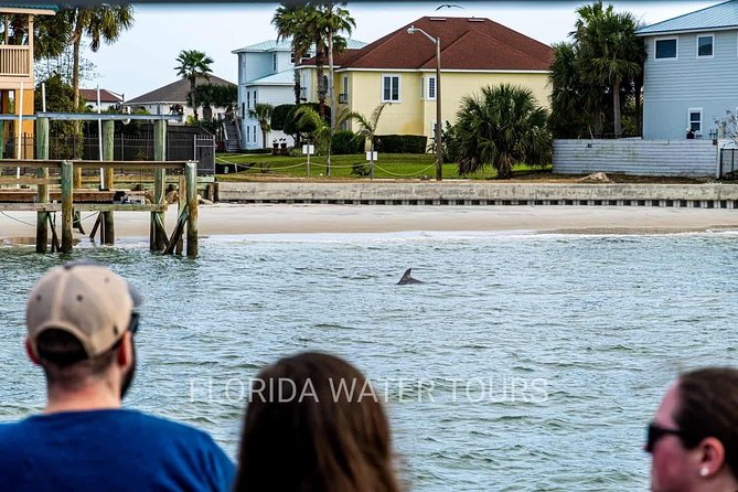 Dolphin and Wildlife Adventure of St. Augustine - Inclusions and Services