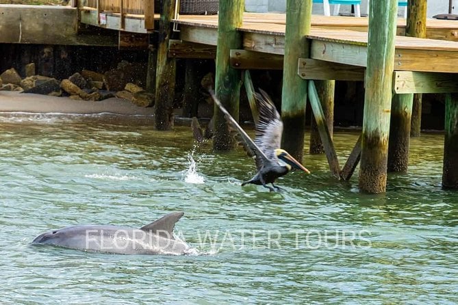 Dolphin and Wildlife Adventure of St. Augustine - Exploring St. Augustines Landmarks