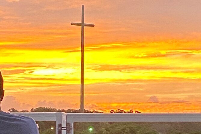 Dolphin and Wildlife History Tour - Practical Details and What to Expect