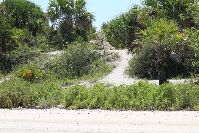 Dolphin and Wildlife Tour at Indian River Shores - Final thoughts: Is this tour right for you?