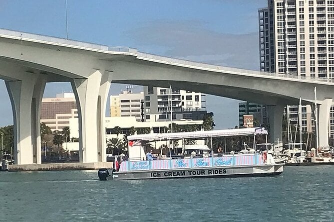 Dolphin Boat Tour in Clearwater Beach With Free Ice Cream - Capturing Memories and Videos