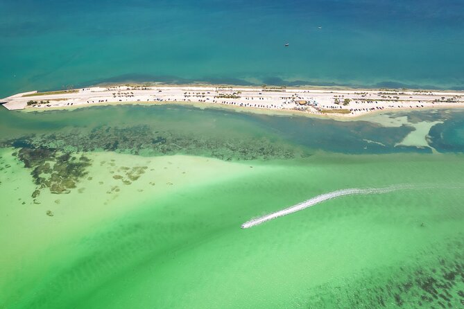 Dolphin Boat Tour in Clearwater Beach With Free Ice Cream - Common Questions