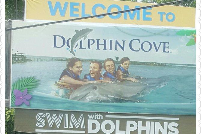 Dolphin Cove Adventure - Good To Know