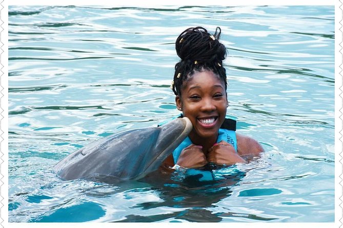 Dolphin Cove Adventure - Booking Details for Dolphin Cove Adventure