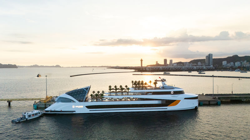 Dolphin Day Cruise: Ha Long, Sung Sot, Ti Top with Luxury Transfer - A day cruise with more than a view