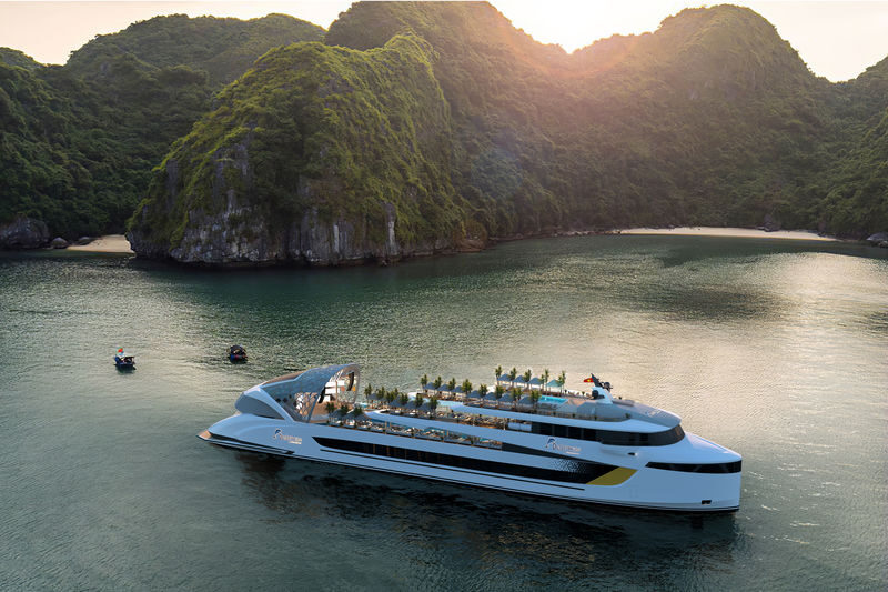 Dolphin Day Cruise: Ha Long, Sung Sot, Ti Top with Luxury Transfer - Ti Top Island: beach or summit