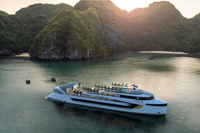 Dolphin Day Cruise: Halong Bays Finest Luxury Escape from Harbor - Good To Know