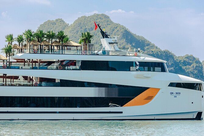 Dolphin Day Cruise: Halong Bays Finest Luxury Escape from Harbor - Final Thoughts: Who Is This Tour Best For?  
