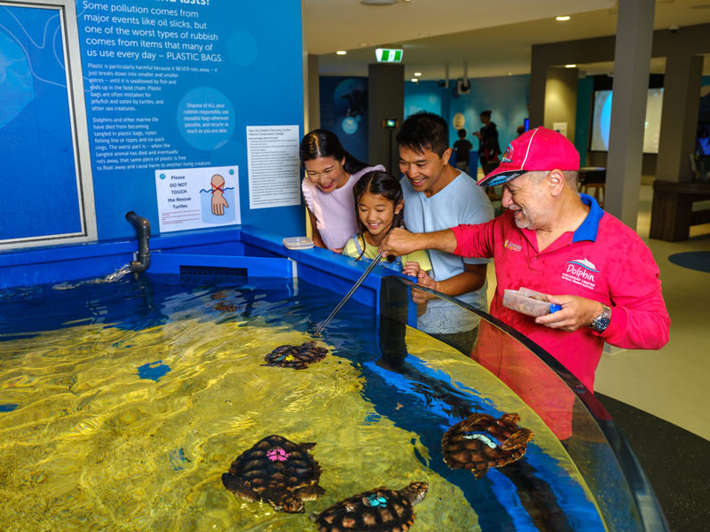 Dolphin Discovery Centre Ticket in Bunbury - What to know before you go