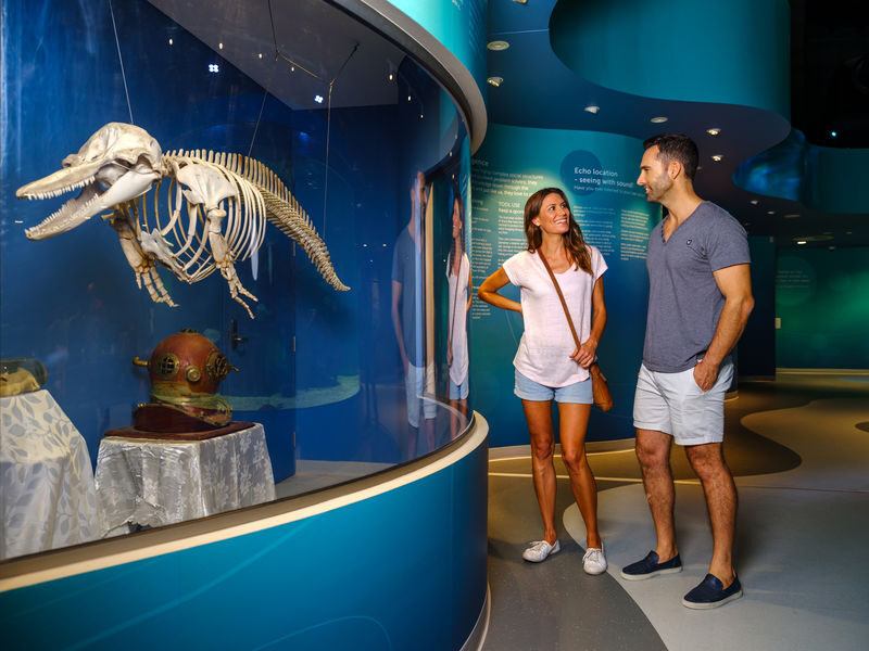 Dolphin Discovery Centre Ticket in Bunbury - Starting at Anchorage Cove