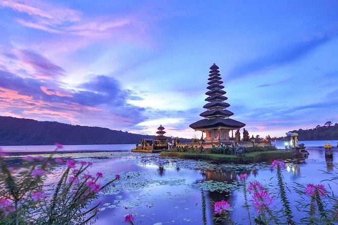 Dolphin Discovery: Exploring the Wild Habitat in North Bali - Dolphin Species in North Bali