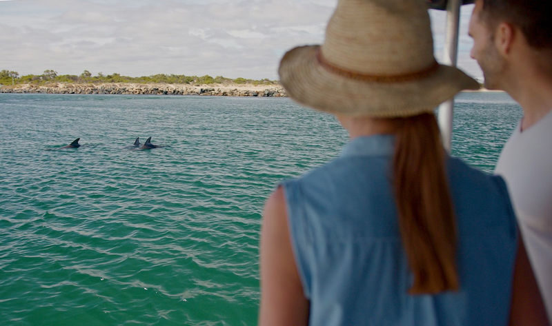Dolphin Eco-Cruise at Dolphin Discovery Centre in Bunbury - Looking for dolphins in Koombana Bay