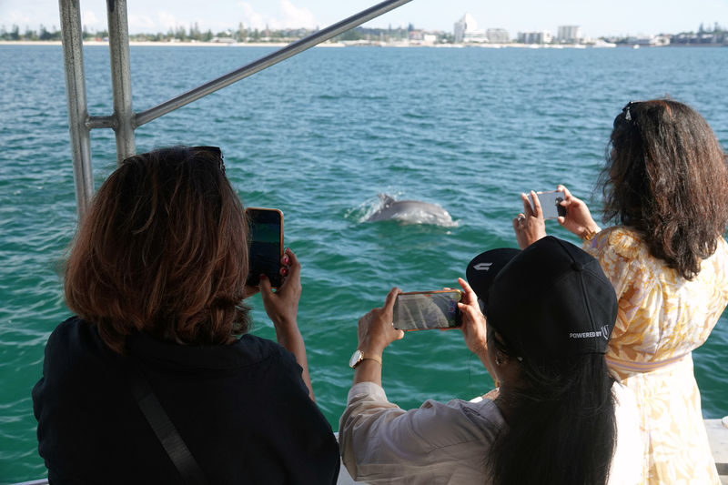 Dolphin Eco-Cruise at Dolphin Discovery Centre in Bunbury - Price and whether the trip feels worthwhile