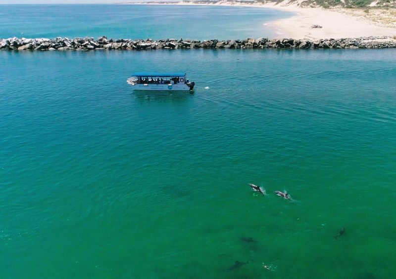 Dolphin Eco-Cruise at Dolphin Discovery Centre in Bunbury - Practical details before you book