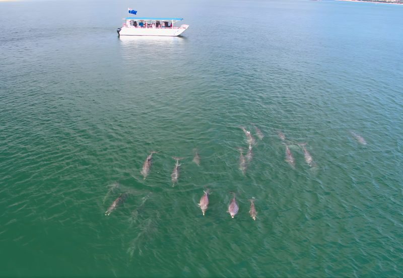 Dolphin Eco-Cruise at Dolphin Discovery Centre in Bunbury - Should you book the Dolphin Eco Cruise?