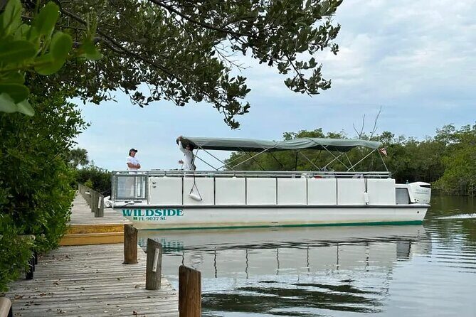 Dolphin Eco Cruise Nature Adventure in Cocoa Beach - Why Choose This Tour?  