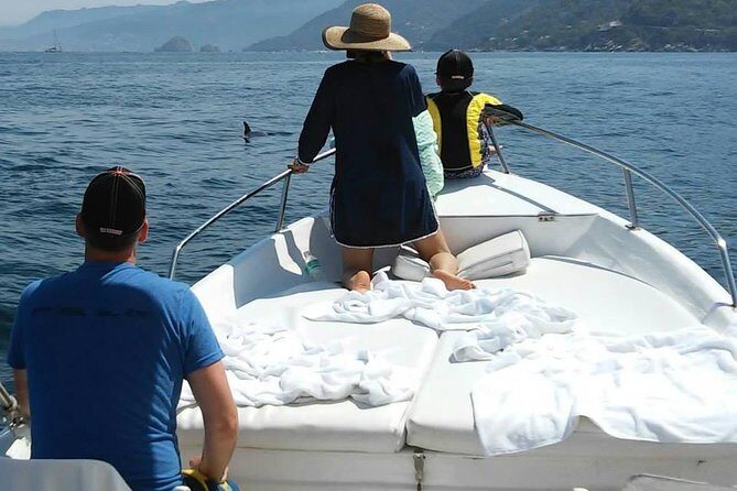 Dolphin Encounter - FAQs