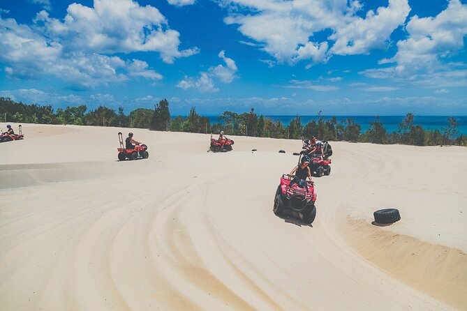 Dolphin Feeding Day Cruise to Tangalooma Island Resort on Moreton Island - Price and Booking Information