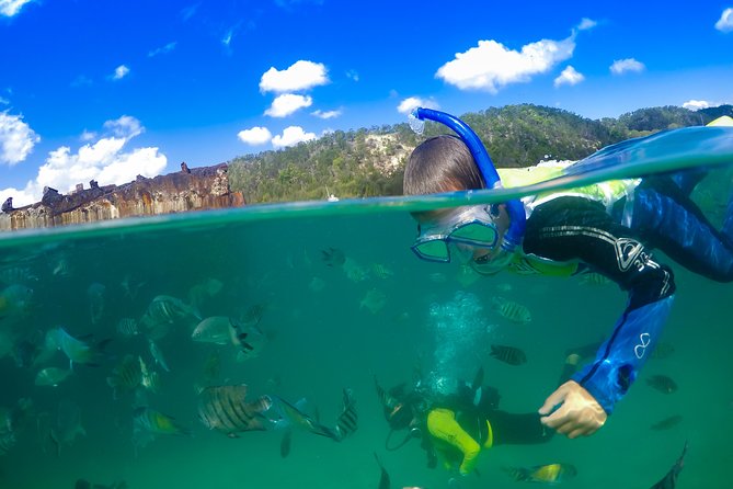 Dolphin Feeding Day Cruise to Tangalooma Island Resort on Moreton Island - Common Questions