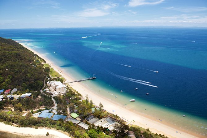 Dolphin Feeding Day Cruise to Tangalooma Island Resort on Moreton Island - The Sum Up
