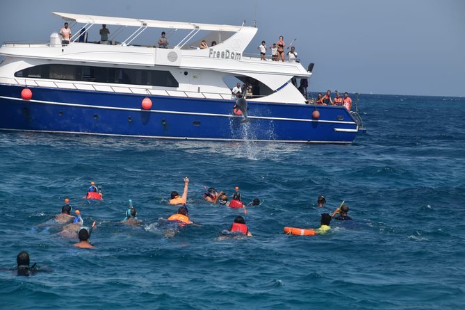 Dolphin House and Banana Boat Fun From Hurghada - Pricing and Booking Options