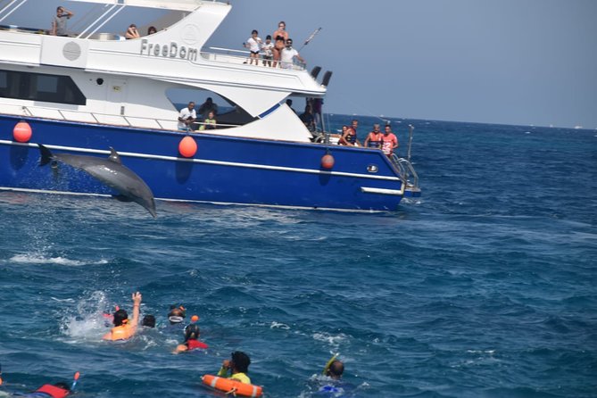 Dolphin House and Banana Boat Fun From Hurghada - Confirmation and Logistics