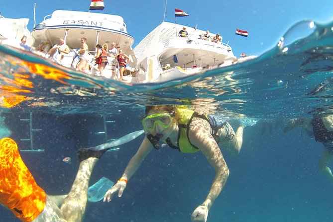 Dolphin House and Banana Boat in Hurghada - Booking Information
