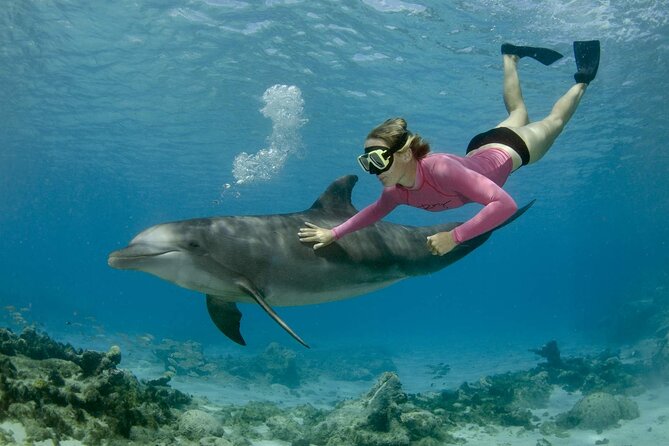 Dolphin House And Snorkeling Day Trip By VIP Boat From Hurghada - Good To Know
