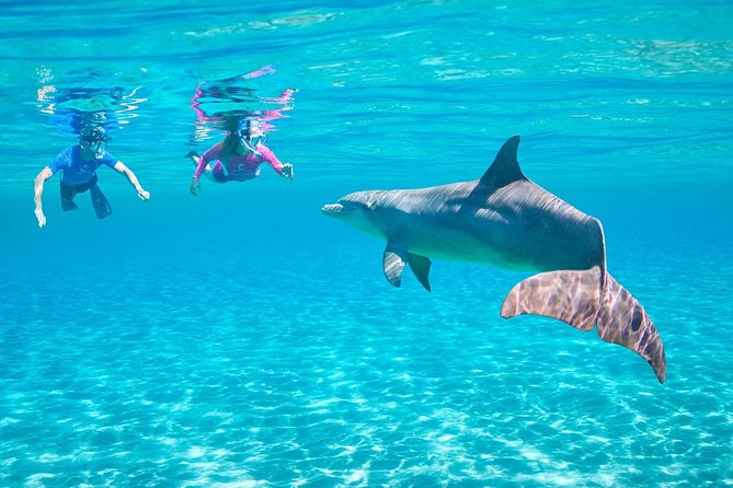 Dolphin House Royal VIP Sea Trip Water Sports Transfer HURGHADA - Directions for Dolphin House Royal VIP Sea Trip Water Sports Transfer