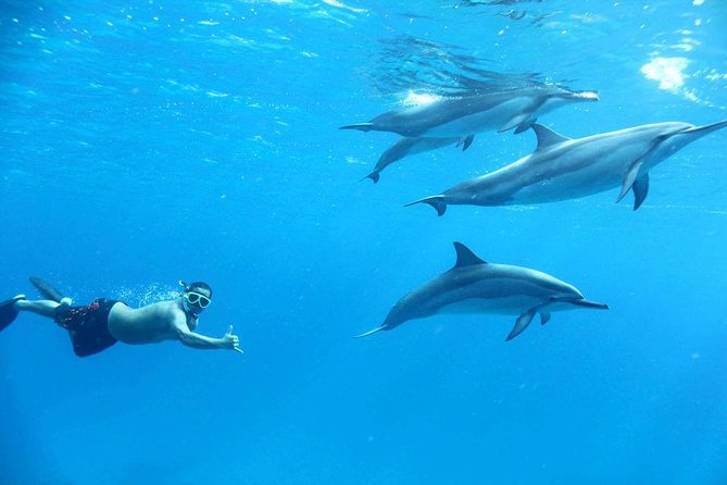 Dolphin House Royal VIP Snorkeling Sea Trip, Lunch, Water Sports - Hurghada - Additional Information