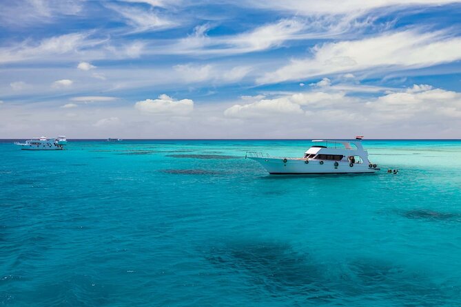 Dolphin House Samadai Reef Boat Snorkeling Trip From Marsa Alam - Traveler Information and Requirements