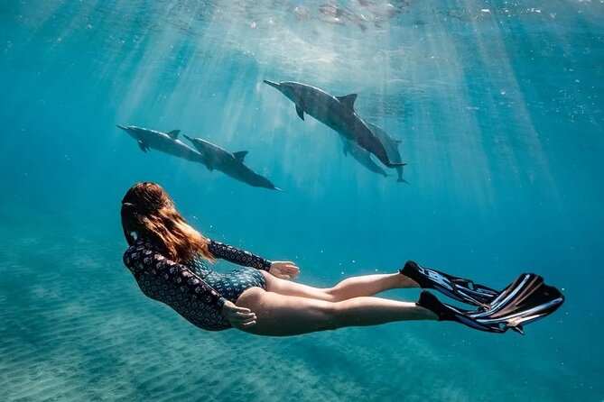 Dolphin House Samadai Reef Boat Snorkeling Trip From Marsa Alam - Frequently Asked Questions