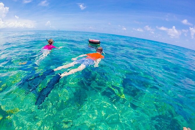 Dolphin House Samadai Reef Boat Snorkeling Trip From Marsa Alam - The Sum Up