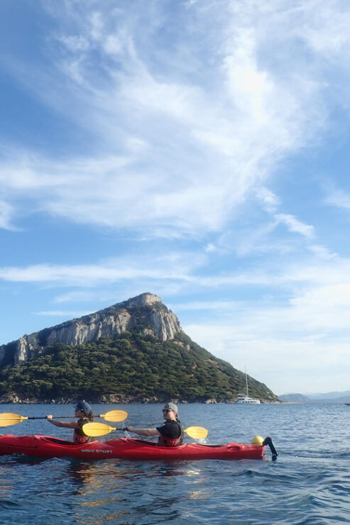 Dolphin Kayak Safari at Sunset at Golfo Aranci - Good To Know