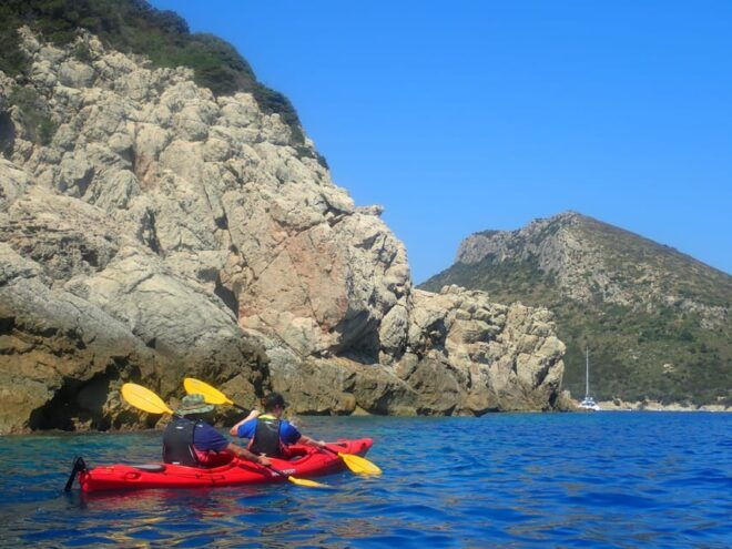 Dolphin Kayak Safari at Sunset at Golfo Aranci - Important Information