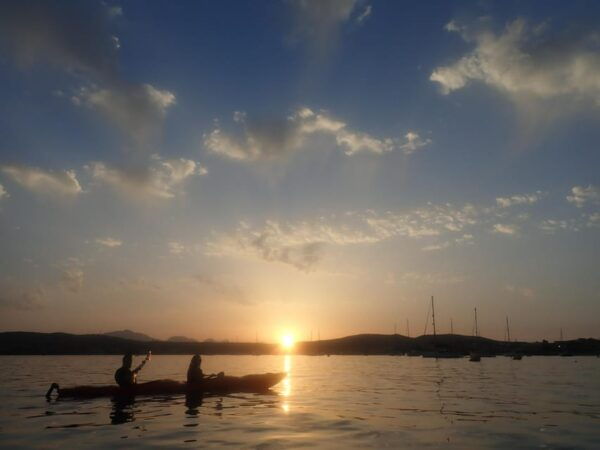 Dolphin Kayak Safari at Sunset at Golfo Aranci - Kayak Adventure