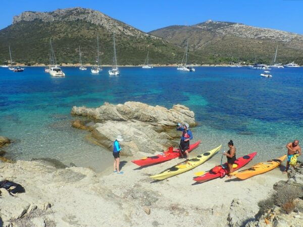 Dolphin Kayak Safari at Sunset at Golfo Aranci - Exploring the Coastline