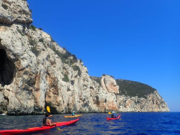 Dolphin Kayak Safari at Sunset at Golfo Aranci - Frequently Asked Questions