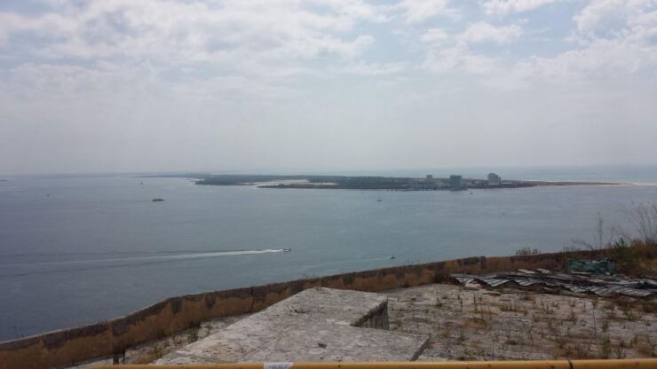 DOLPHIN LOVERS FULL DAY TOUR - Tour Details