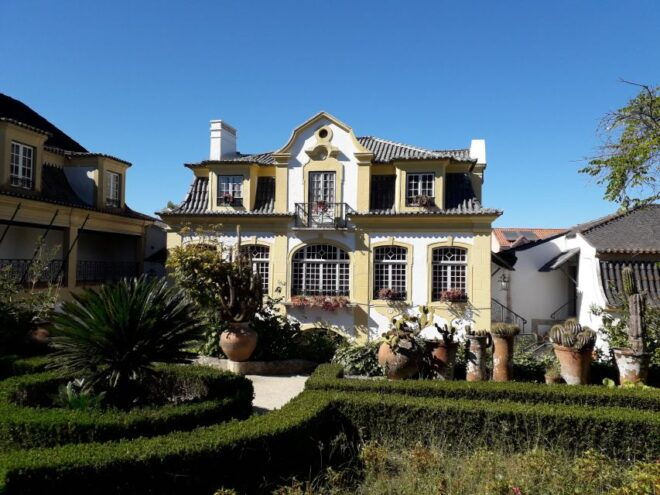 DOLPHIN LOVERS FULL DAY TOUR - Experience