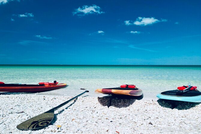 Dolphin, Manatee and Sea Turtle Adventure Tour of Bonita Springs - Final Thoughts: Is This Tour Worth It?