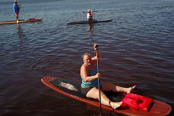 Dolphin, Manatee and Sea Turtle Adventure Tour of St. Augustine - Tour Overview and Details
