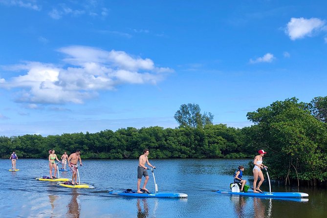 Dolphin & Manatee Watching Stand Up Pedalboarding Tour - End Point and Logistics