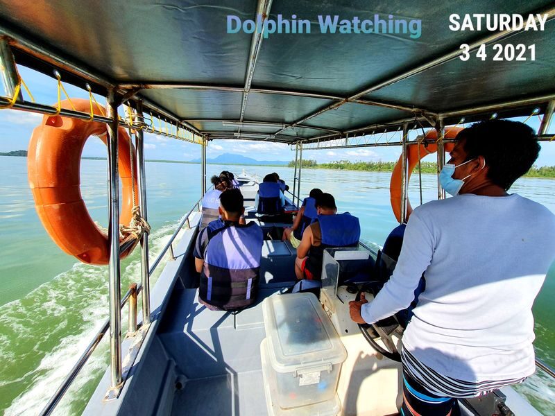 Dolphin Mangrove Cruise and Sarawak Cultural Village Tour in Kuching - Santubong’s mangroves make the morning