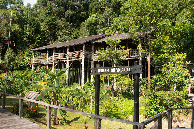Dolphin Mangrove Cruise and Sarawak Cultural Village Tour in Kuching - Should you book this Kuching day trip?